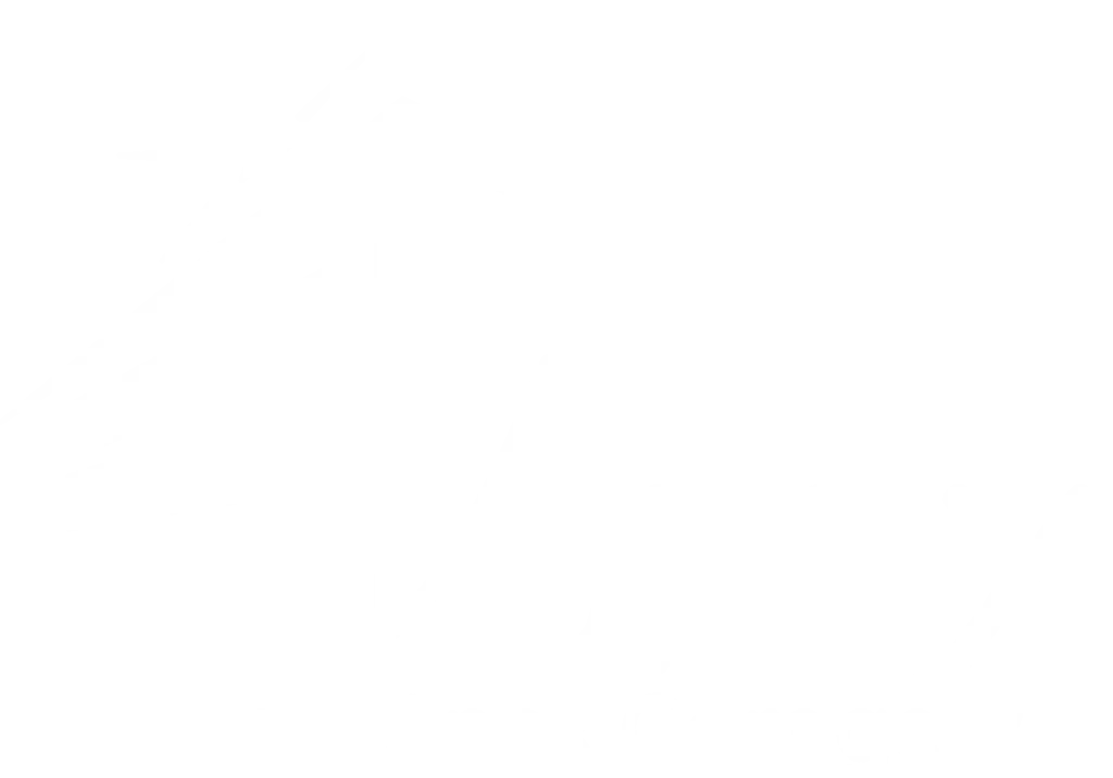 Apex Garage Pro Logo